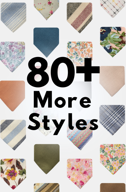 An image of a wide variety of striped, floral, and solid neckties and text indicating that we sell over 80 styles of ties.
